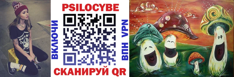 дарк нет телеграм  как найти наркотики  Новоульяновск  Галлюциногенные грибы мухоморы 